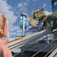 Damn dinos everywhere!